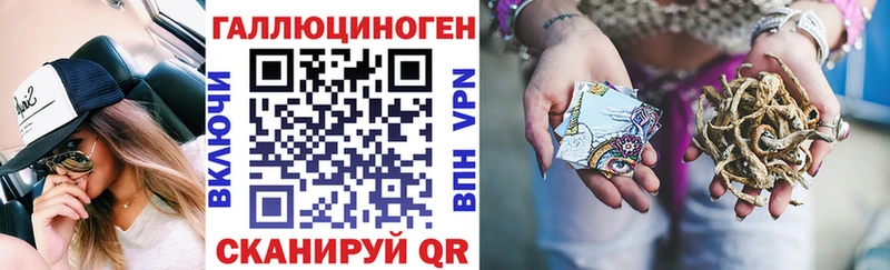 закладка Кировск Псилоцибиновые грибы Magic Shrooms